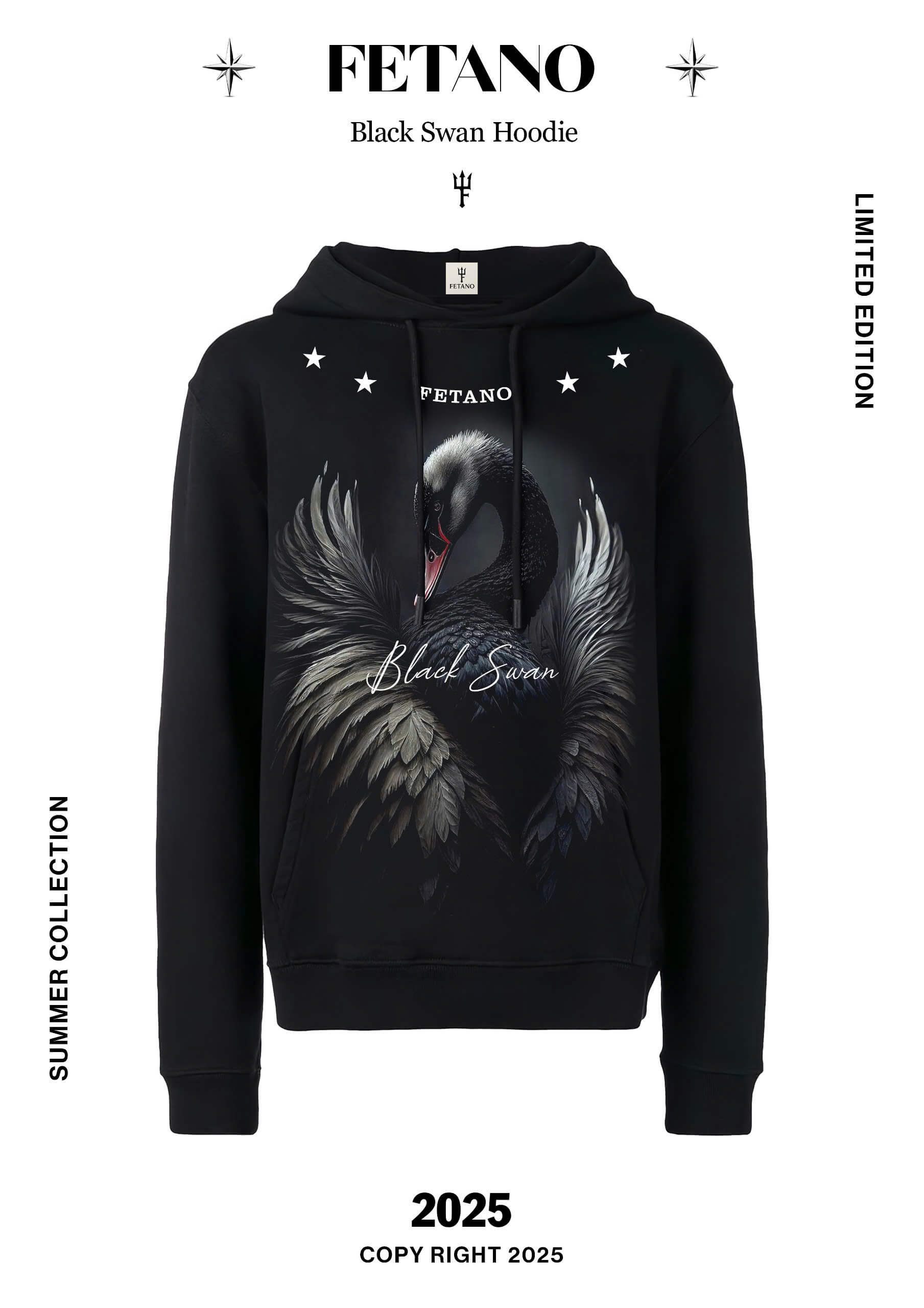 Hoodie - Black Swan
